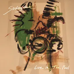 Live in The Pool 封面