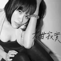 不甘寂寞 封面